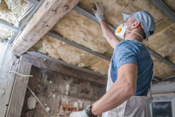 Best Residential Insulation Services  in Gunnison, CO