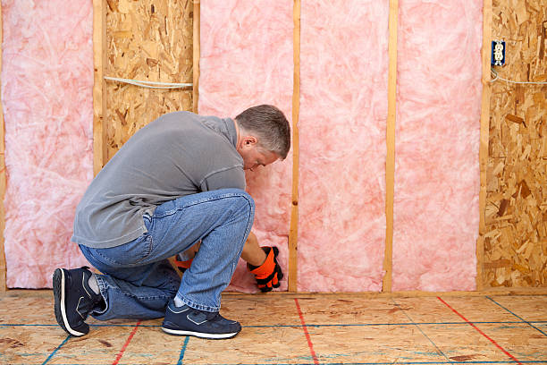 Best Fiberglass Insulation  in Gunnison, CO